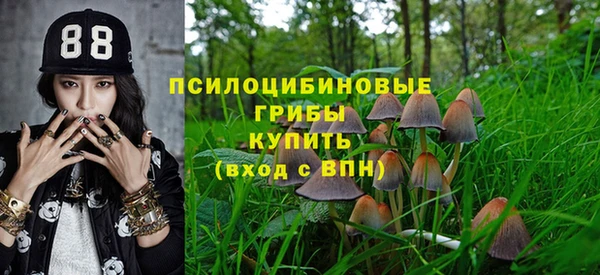 СК Лагань